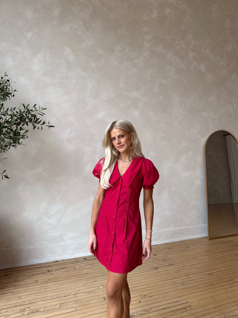 Coco Claus Dress